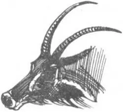 Гостиница с привидениями Смотри сказал я Зденеку здесь на этом самом - фото 253