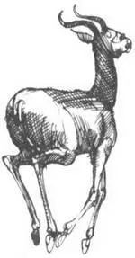 Помоему самым счастливым днем в моей жизни было шестнадцатое мая 1969 года - фото 259