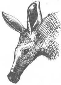 Необходимо точно знать почему вымерли тысячи видов животных хотя бы для - фото 262