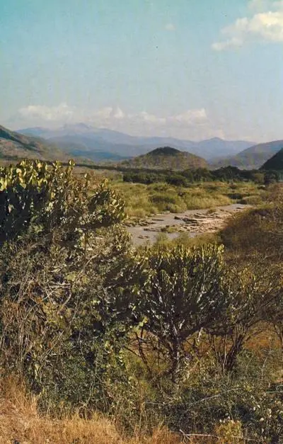 Пейзаж в южной Танзании Королевский орлан Самка нильского крокодила - фото 267