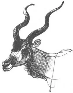 Однажды после полуночи мы проснулись от громкого страшного шума в загонах - фото 278