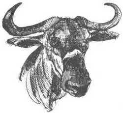 Поэтому в грузовике под кузовом у нас всегда были привязаны запасные шесты с - фото 281