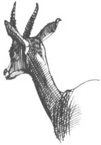 На каменистой местности или в густых зарослях где невозможно было проехать на - фото 283