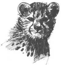 Богиня слез Мы собирались проехать еще километров семьдесят до городишка - фото 284