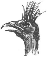 Смертельная купель Во время визита к мистеру Лики мне было вовсе не до скуки - фото 287