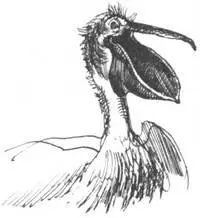 В последние годы крупных животных отлавливают с помощью специальных ружей или - фото 288