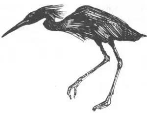 Идея лорда Бутлера Самый крупный отлов зверей который мне удалось провернуть - фото 289