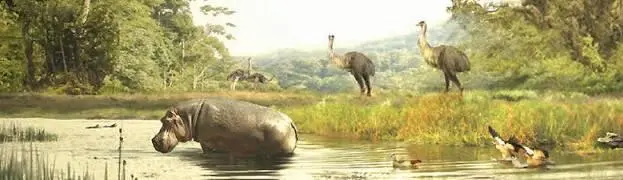 С гребиорнисами этими млять сплошные непонятки По костям раскопанным чуть ли - фото 39