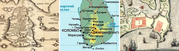 Будучи в стороне от основных сельскохозяйственных зон Тамманава далеко не - фото 56