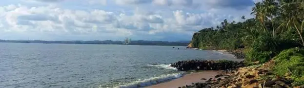 Пастбищ только травянистых мало по той же самой причине Зона влажных - фото 143