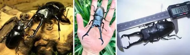 И ты уверен досточтимый что за этим большое будущее Мерит я ни в чём не - фото 175