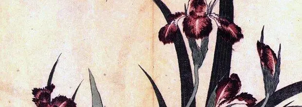 Не любите ли вы описания природы так как не люблю их я В детстве нас мучили - фото 91