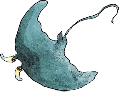 морской дьявол морская собачка тарпон корюшка - фото 2