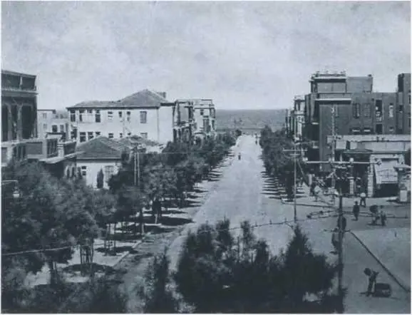 ТельАвив улица Алленби 1920е гг Полина Натановна жена Якова - фото 15