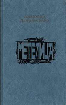 Анатолий Данильченко - Метелица