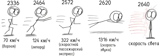 Жизнь похожа на Миссисипи Она течет Она изгибается Подойдите достаточно - фото 74