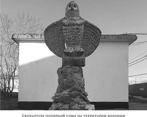 Колония разделена на три части в одной отбывают наказание пожизненно - фото 2