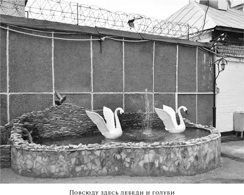 Двери камеры 16 открываются но остается еще преграда решетка и я узнаю - фото 41