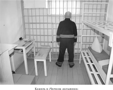 Зачем говорить здравия желаю да еще по нескольку раз Но эта форма доклада в - фото 49