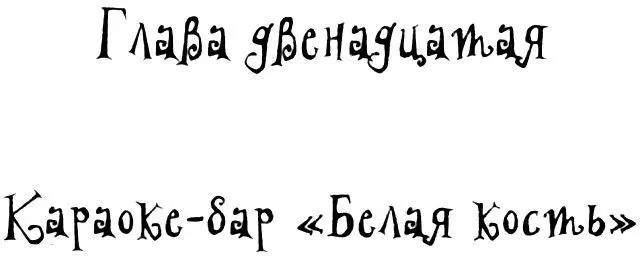 Глава двенадцатая Караокебар Белая кость Живая музыка Угощение Мэй - фото 29