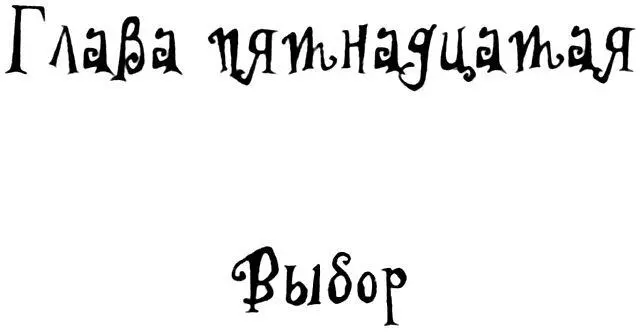 Глава пятнадцатая Выбор Говорят там сплошные шпионы кругом поделилась - фото 35