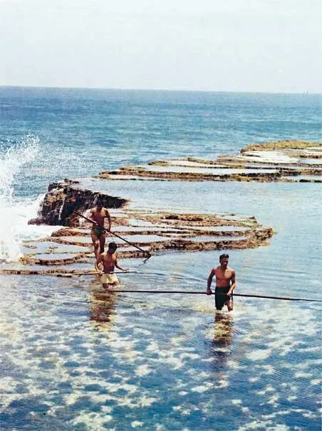 Рыбалка на Тонга Ваэа тонганский вождь развлекает нас шикарным празднеством - фото 129