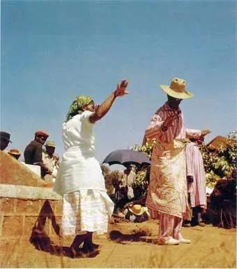 Народ мерина танцует рядом с гробницей Один из самых свирепо выглядящих - фото 131