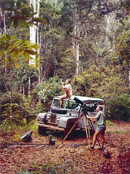 Ищем индри во влажных джунглях Мадагаскара Лемур вари Магани работает над - фото 135