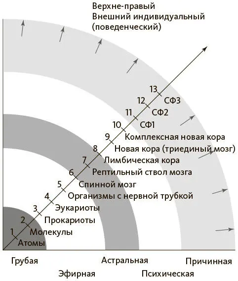 Рис I7Усложнение грубой формы сопровождается более тонкими энергиями Эти - фото 20