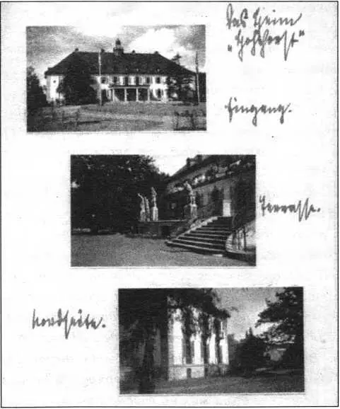 Альбом с фотографиями на котором запечатлен дом Фрисланд 5 апреля 1939 года - фото 59