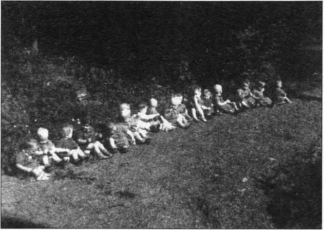 Норвежские дети Лебенсборна летом 1944 года Если вернуться в 1941 год то - фото 94