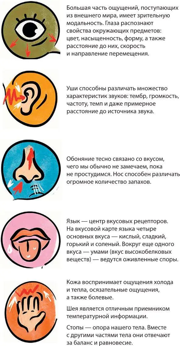 Примечания 1 Викиум крупнейшая онлайнплатформа цель которой - фото 2