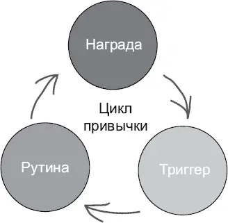 Эти три этапа вместе называются циклом привычки Чем чаще вы запускаете этот - фото 3