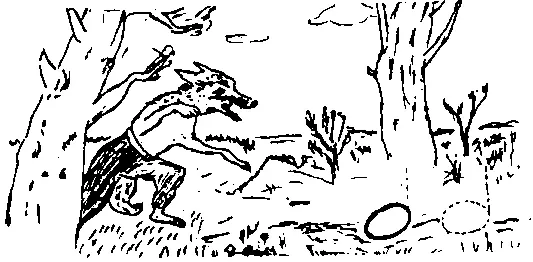 Через речку лес болото Гнался злющий волк за нотой Катилась нота целая - фото 24