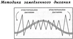 1 Схватка начинается 2 Полное очистительное дыхание 3 Сосредоточение - фото 20