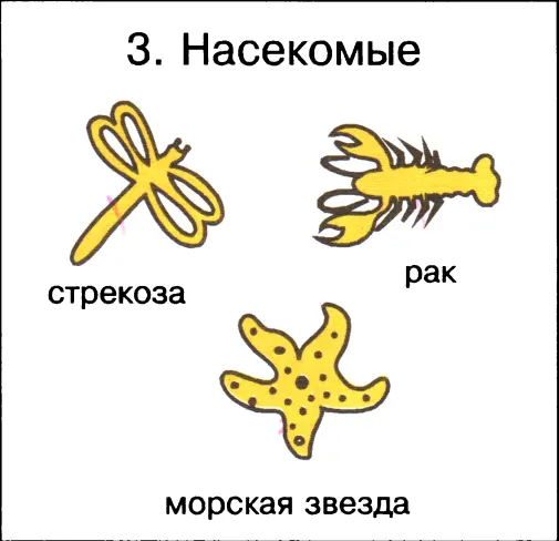 Ответы 1 кенгуру 2 корова 3 стрекоза 4 камбала ВЫБЕРИ ПРАВИЛЬНЫЙ ОТВЕТ - фото 6