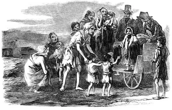 Великий голод в Ирландии 18451849 годов Доктор Палей справедливо утверждает - фото 2