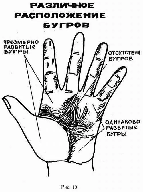 Индийская хиромантия - фото 5