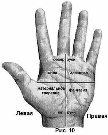 Горизонтальное деление Север руки верхняя половина сфера мужского - фото 8