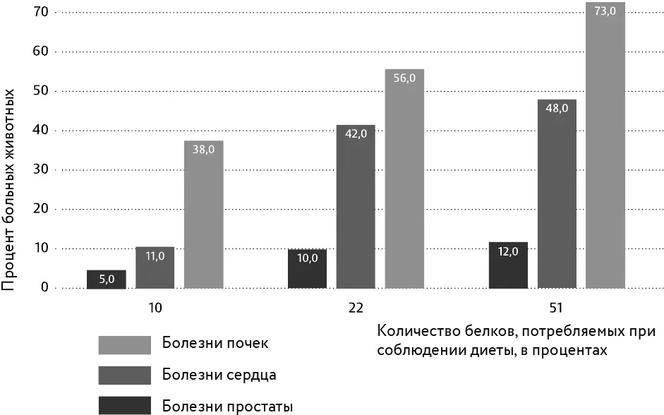Рис 21 Чем выше содержание белков в рационе тем чаще у крыс наблюдаются - фото 29