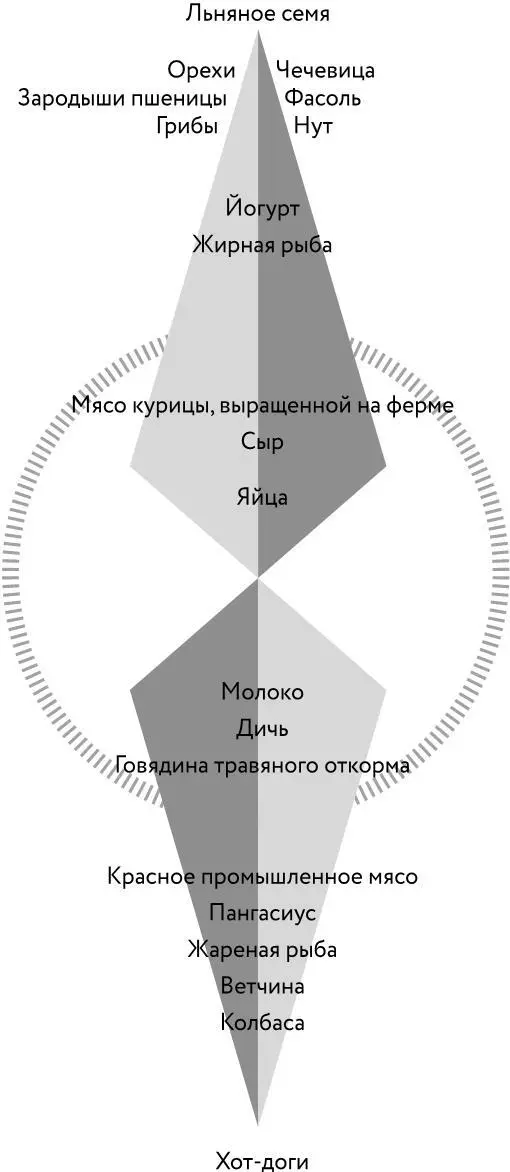 Компас белков Самые полезные для здоровья белки мы получаем от растений и - фото 41