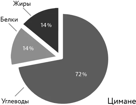 Рацион племени цимане содержит чуть меньше углеводов и чуть больше жиров Их - фото 47