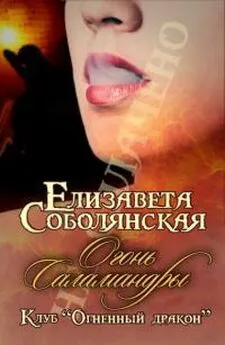 Елизавета Соболянская - Огонь Саламандры