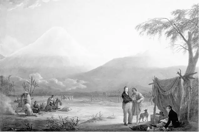 На картине 1810 года Александр фон Гумбольдт стоит у подножия Чимборасо - фото 110