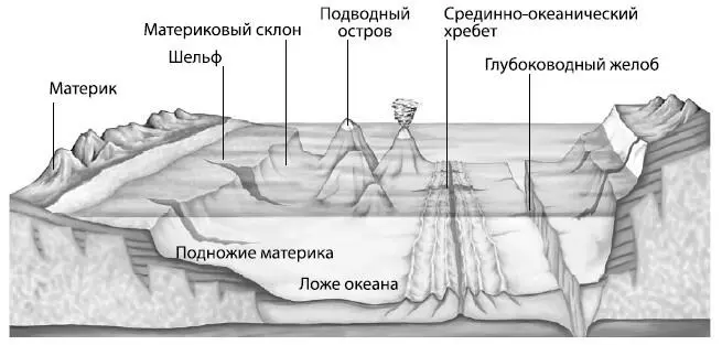 Морское дно неоднородно здесь как и на суше есть горы вулканы и каньоны - фото 127