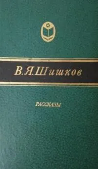 Вячеслав Шишков - Та сторона