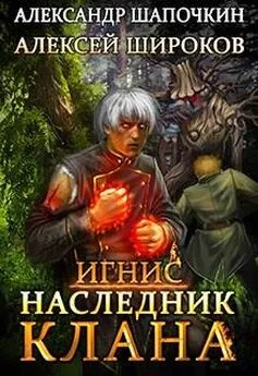 Александр Шапочкин - Наследник клана (Взрыв это случайность)