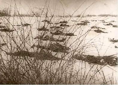 Убитые советские солдаты Фотография из семейного архива Минуя редкий - фото 4