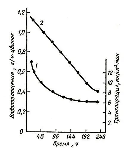 Рис 1 Водопоглощение и транспирация срезки розы 1 транспирация 2 - фото 8