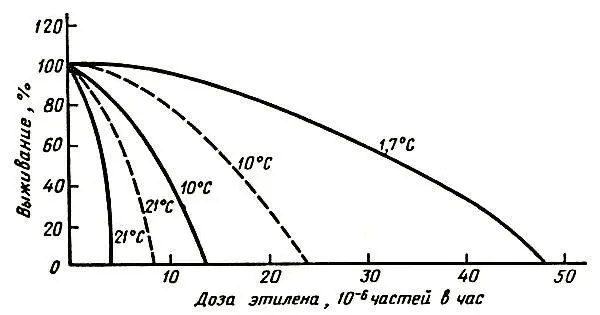 Рис 3 Влияние этилена на сроки хранения гвоздики Уайт Сим сплошная линия - фото 10